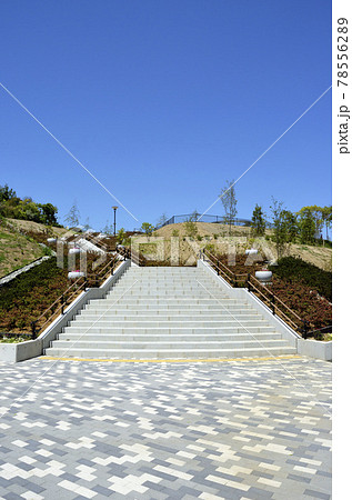 平和中央公園 78556289