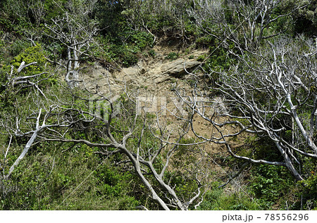 崩れた崖 崖崩れ 崩れた崖 崖崩れ 78556296