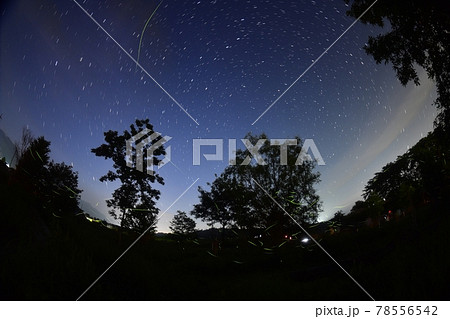 北杜市白州町、ホタルと星(ホタル公園にて・比較明合成) 北杜市白州町、ホタルと星(ホタル公園にて・比較明合成) 78556542