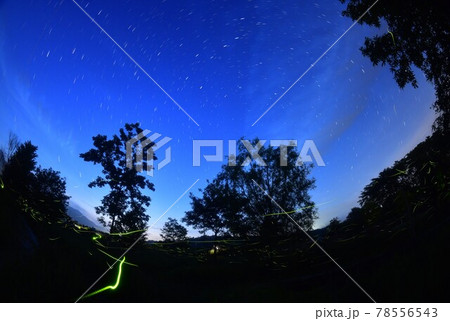 北杜市白州町、ホタルと星（ホタル公園にて・比較明合成） 78556543
