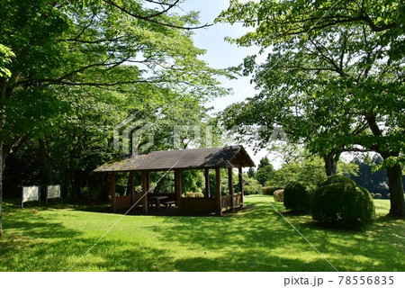 三島市　山中城跡公園　岱崎出丸の休憩所と新緑 78556835