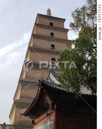 間近の大雁塔 78557133