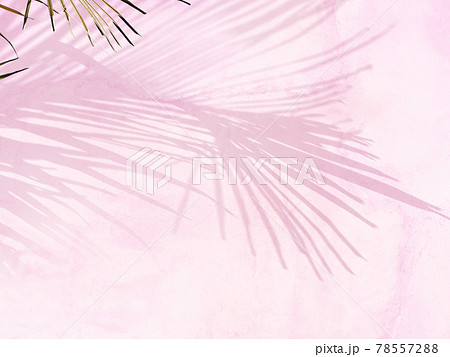 ヤシの葉の影とピンク色の壁のイラスト素材