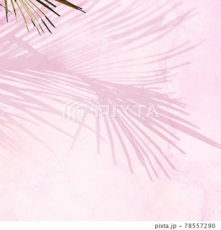 ヤシの葉の影とピンク色の壁のイラスト素材