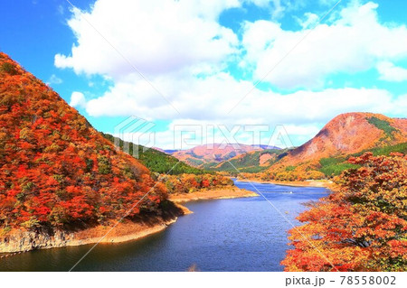 紅葉の荒雄湖 78558002