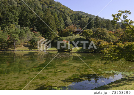 修学院離宮　上離宮　浴龍池 78558299