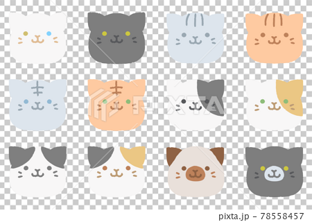 Cat Images  Free HD Backgrounds, PNGs, Vectors & Illustrations - rawpixel