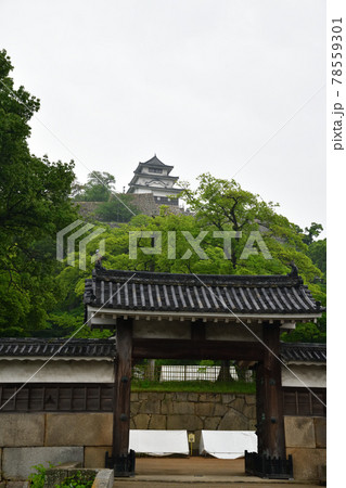 丸亀城より 丸亀城より 78559301