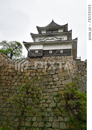 丸亀城より 78559303