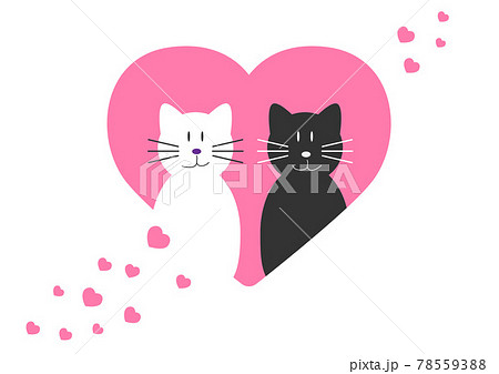 White cat and black cat, both are cute. and there is a romantic love in a pink heart. Flat style cartoon illustration vector 78559388