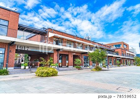 横浜の都市風景 みなとみらい・新港エリア周辺の風景 横浜の都市風景 みなとみらい・新港エリア周辺の風景 78559652