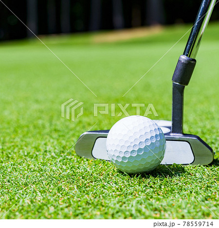 ゴルフ　グリーン　パッティング　【 アウトドア スポーツ の イメージ】 78559714