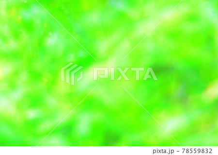 ソフトフォーカス ソフトフォーカス 78559832