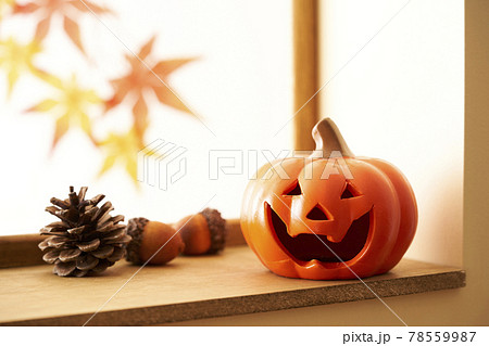 窓辺のハロウィンイメージ 窓辺のハロウィンイメージ 78559987