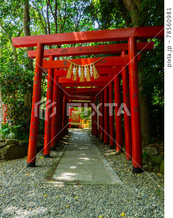 神明神社(石神さん) 神明神社(石神さん) 78560981