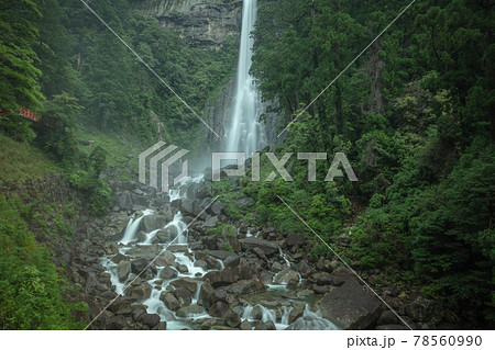 和歌山県 那智の滝 新緑 78560990