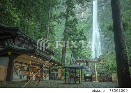 和歌山県 那智の滝 新緑 78561009
