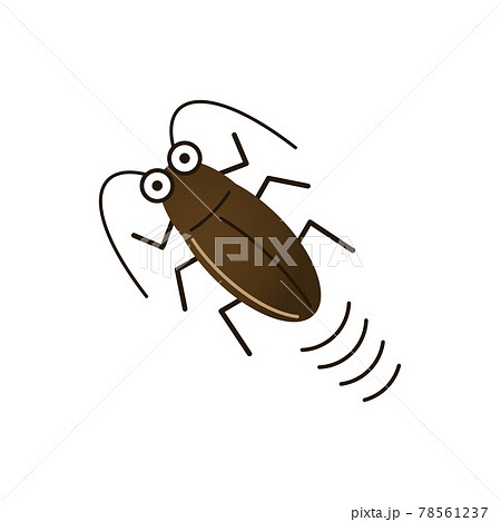 eps10 black vector Cockroach bug line art icon isolated on white  background. Cockroach insect outline symbol in a simple flat trendy modern  style for your website design, logo, and mobile application 13163740 Vector  Art at Vecteezy