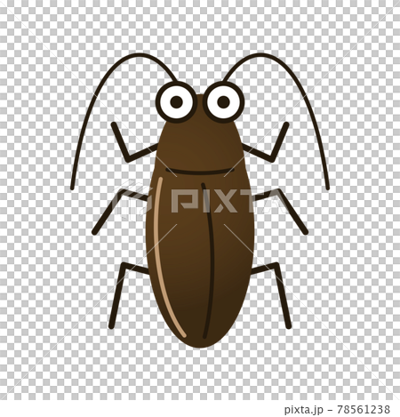 Cockroach illustration image 78561238