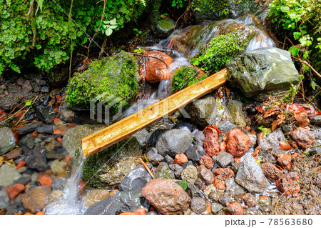 初夏のかくし水 くじゅう連山 大分県 初夏のかくし水 くじゅう連山 大分県 78563680