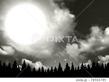 満月背景と木のシルエット 78563795