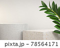 Modern Luxury Step Podium Set With Tropical Plant Summer Concept Abstract Background 3d Render 78564171