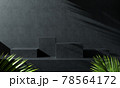 Modern Dark Black Concrete Podium Set With Palm Leaf And Sunlight Shadow Abstract Background 3d Render 78564172