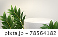 Luxury Minimal White Marble Stage Platform, Summer Green Tropic Plant, Abstract Background 3d Rendering 78564182