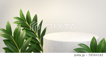 Luxury Minimal White Marble Stage Platform, Summer Green Tropic Plant, Abstract Background 3d Rendering Luxury Minimal White Marble Stage Platform, Summer Green Tropic Plant, Abstract Background 3d Rendering 78564182