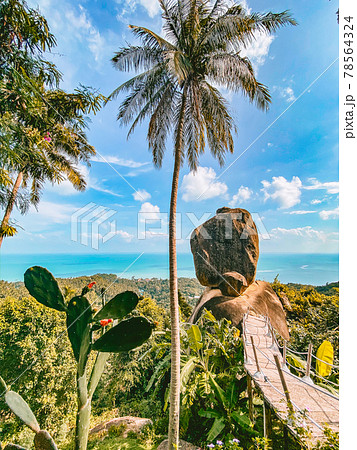 Koh Samui Overlap Stone in thailand, south east Asia 78564324