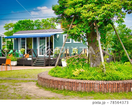 新潟県阿賀野市 　初夏のY＆Yガーデン 78564373