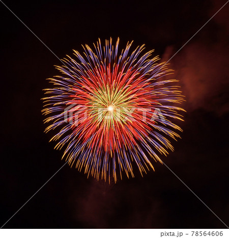 赤色と紫色系の一発の大きな打ち上げ花火 赤色と紫色系の一発の大きな打ち上げ花火 78564606