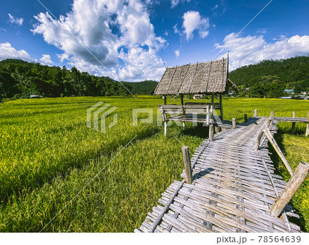Bamboo Bridge in Pai, Mae Hong Son, Chiang Mai, thailand 78564639