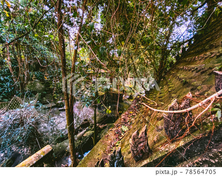 Secret Buddha Magic Garden in koh Samui, Thailand Secret Buddha Magic Garden in koh Samui, Thailand 78564705