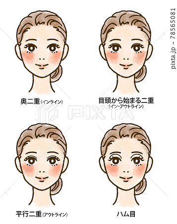 いろいろな二重瞼セット 正面文字入り のイラスト素材
