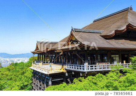新緑の清水寺(改修工事終了後) 新緑の清水寺(改修工事終了後) 78565661
