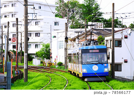 東急世田谷線|松原〜山下間を走る電車(SDGsトレイン) 東急世田谷線|松原〜山下間を走る電車(SDGsトレイン) 78566177