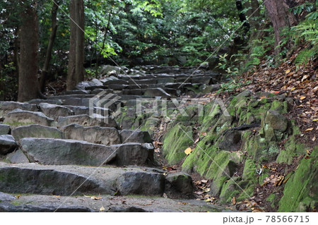 松山城黒門口登城道 78566715