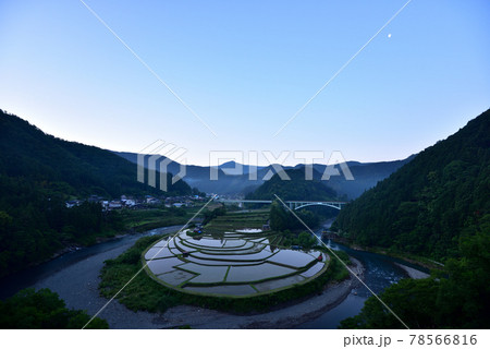 あらぎ島の棚田 78566816