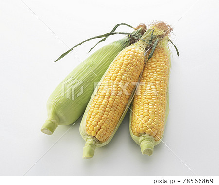 とうもろこし 78566869