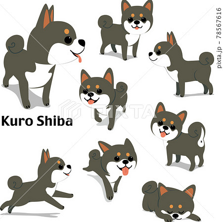 黒柴のイラスト素材
