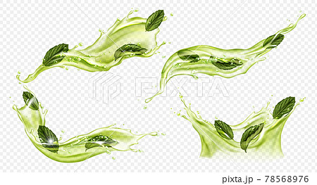Vector realistic splash of green tea or matcha Vector realistic splash of green tea or matcha 78568976