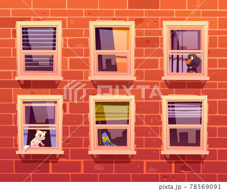 Pets in windows, cat, dog and parrot on windowsill Pets in windows, cat, dog and parrot on windowsill 78569091