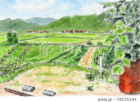 田舎の夏のイラスト素材