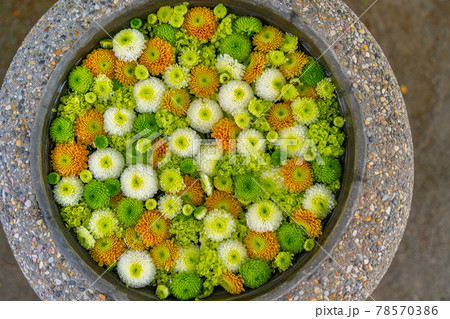 花手水　富士市 78570386