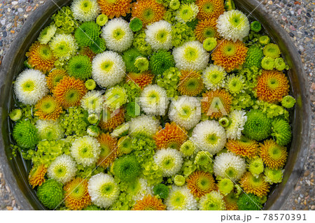花手水　富士市 78570391