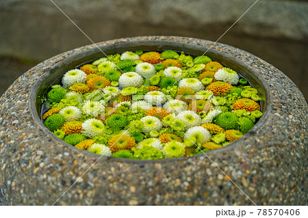 花手水 富士市 花手水 富士市 78570406