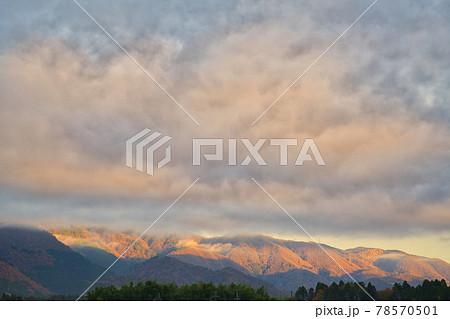 【滋賀県】12月・メタセコイア並木周辺の自然風景 【滋賀県】12月・メタセコイア並木周辺の自然風景 78570501