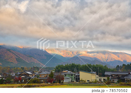 【滋賀県】12月・メタセコイア並木周辺の自然風景 78570502