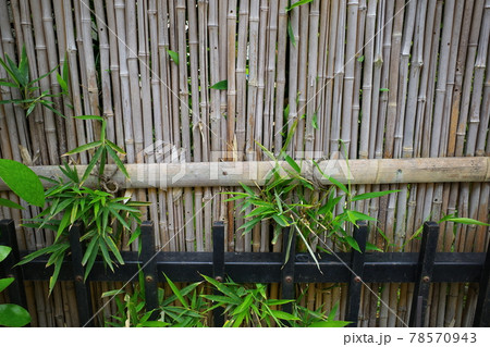 竹の塀と笹の植え込み 78570943